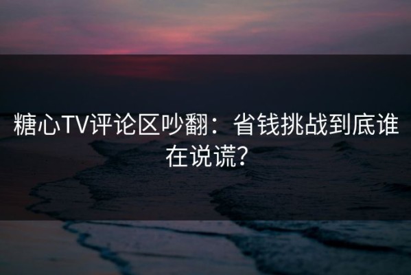 糖心TV评论区吵翻：省钱挑战到底谁在说谎？