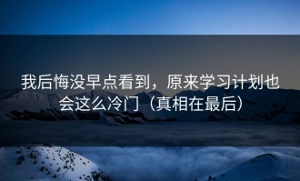 我后悔没早点看到，原来学习计划也会这么冷门（真相在最后）