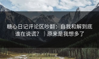 糖心日记评论区吵翻：自我和解到底谁在说谎？｜原来是我想多了