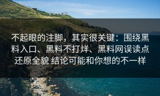 不起眼的注脚，其实很关键：围绕黑料入口、黑料不打烊、黑料网误读点还原全貌 结论可能和你想的不一样