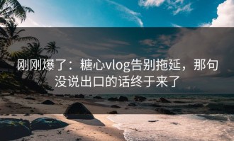 刚刚爆了：糖心vlog告别拖延，那句没说出口的话终于来了