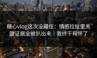 糖心vlog这次没藏住：情感拉扯里关键证据全被扒出来｜我终于释怀了