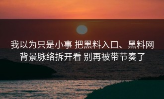 我以为只是小事 把黑料入口、黑料网背景脉络拆开看 别再被带节奏了