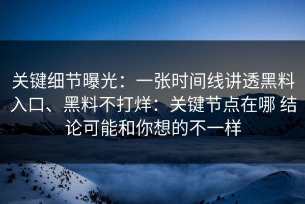 关键细节曝光：一张时间线讲透黑料入口、黑料不打烊：关键节点在哪 结论可能和你想的不一样
