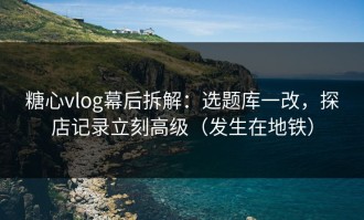糖心vlog幕后拆解：选题库一改，探店记录立刻高级（发生在地铁）