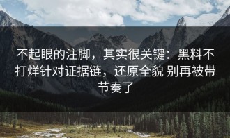不起眼的注脚，其实很关键：黑料不打烊针对证据链，还原全貌 别再被带节奏了