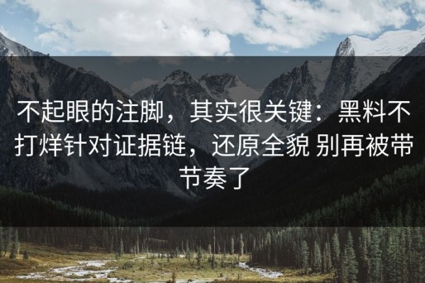 不起眼的注脚，其实很关键：黑料不打烊针对证据链，还原全貌 别再被带节奏了
