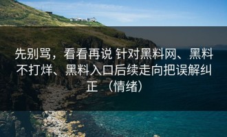 先别骂，看看再说 针对黑料网、黑料不打烊、黑料入口后续走向把误解纠正 （情绪）
