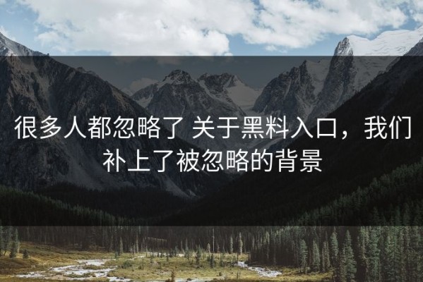 很多人都忽略了 关于黑料入口，我们补上了被忽略的背景