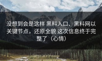 没想到会是这样 黑料入口、黑料网以关键节点，还原全貌 这次信息终于完整了（心情）