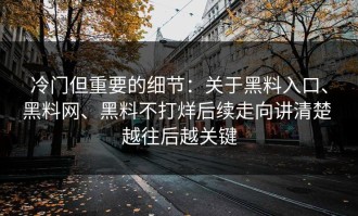 冷门但重要的细节：关于黑料入口、黑料网、黑料不打烊后续走向讲清楚 越往后越关键