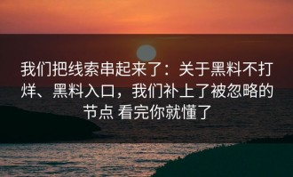 我们把线索串起来了：关于黑料不打烊、黑料入口，我们补上了被忽略的节点 看完你就懂了