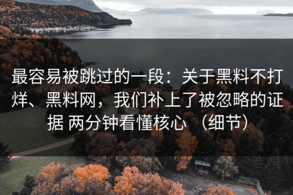最容易被跳过的一段：关于黑料不打烊、黑料网，我们补上了被忽略的证据 两分钟看懂核心 （细节）