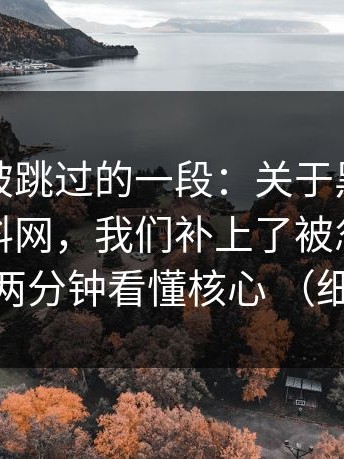 最容易被跳过的一段：关于黑料不打烊、黑料网，我们补上了被忽略的证据 两分钟看懂核心 （细节）