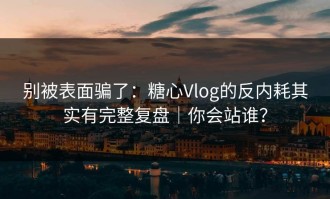别被表面骗了：糖心Vlog的反内耗其实有完整复盘｜你会站谁？