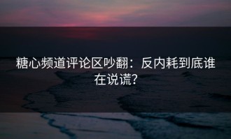 糖心频道评论区吵翻：反内耗到底谁在说谎？