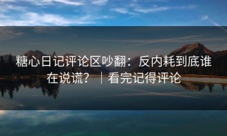 糖心日记评论区吵翻：反内耗到底谁在说谎？｜看完记得评论