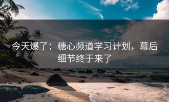 今天爆了：糖心频道学习计划，幕后细节终于来了