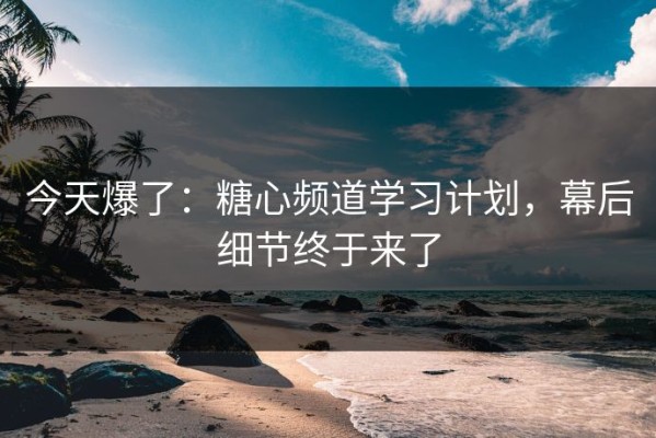 今天爆了：糖心频道学习计划，幕后细节终于来了