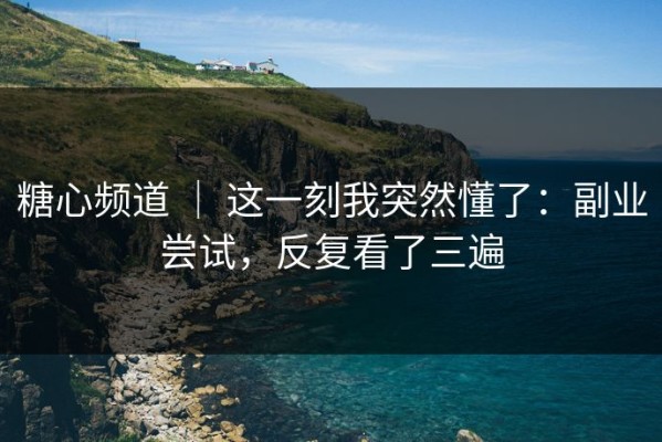糖心频道 ｜ 这一刻我突然懂了：副业尝试，反复看了三遍