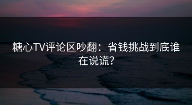 糖心TV评论区吵翻：省钱挑战到底谁在说谎？