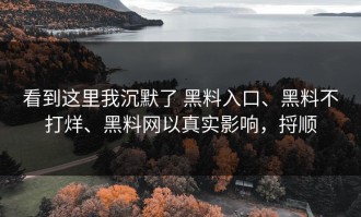 看到这里我沉默了 黑料入口、黑料不打烊、黑料网以真实影响，捋顺
