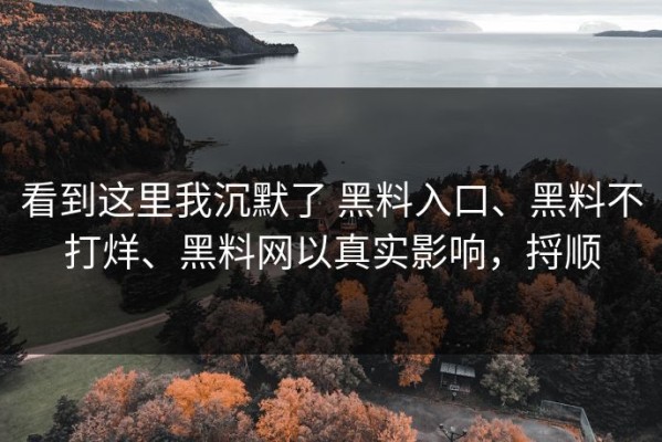 看到这里我沉默了 黑料入口、黑料不打烊、黑料网以真实影响，捋顺
