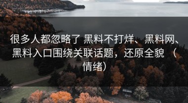很多人都忽略了 黑料不打烊、黑料网、黑料入口围绕关联话题，还原全貌 （情绪）