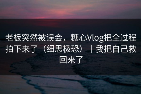 老板突然被误会，糖心Vlog把全过程拍下来了（细思极恐）｜我把自己救回来了