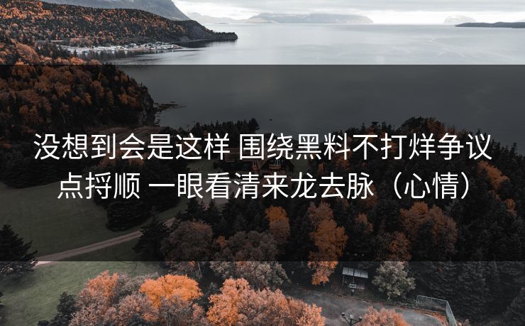 没想到会是这样 围绕黑料不打烊争议点捋顺 一眼看清来龙去脉（心情）