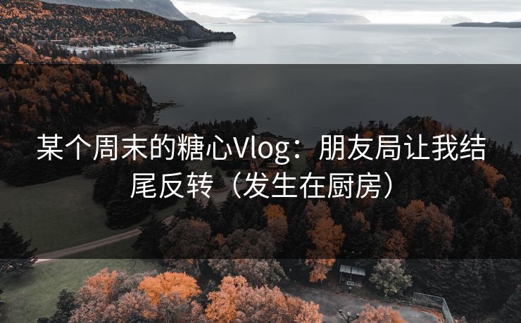 某个周末的糖心Vlog：朋友局让我结尾反转（发生在厨房）