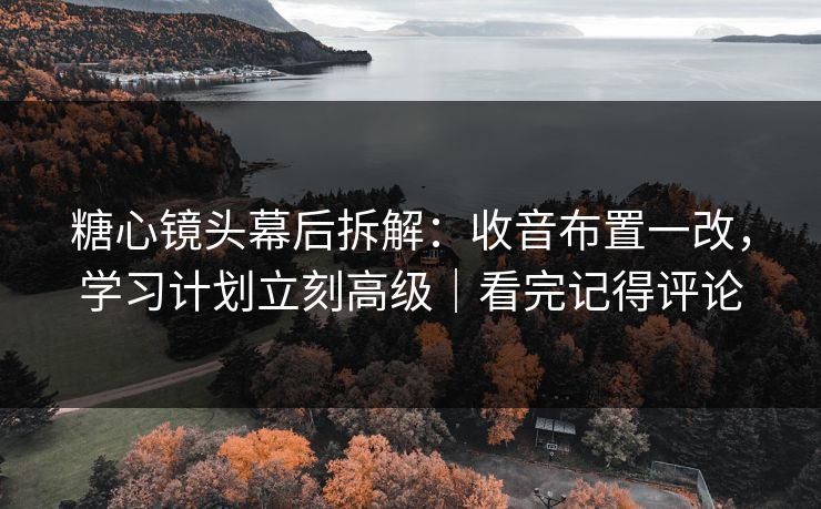 糖心镜头幕后拆解：收音布置一改，学习计划立刻高级｜看完记得评论