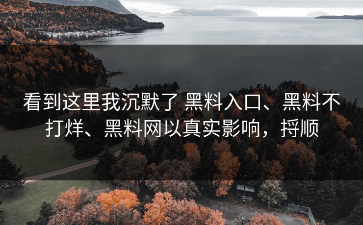 看到这里我沉默了 黑料入口、黑料不打烊、黑料网以真实影响，捋顺