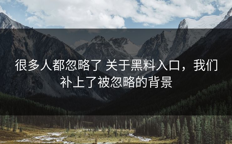 很多人都忽略了 关于黑料入口，我们补上了被忽略的背景